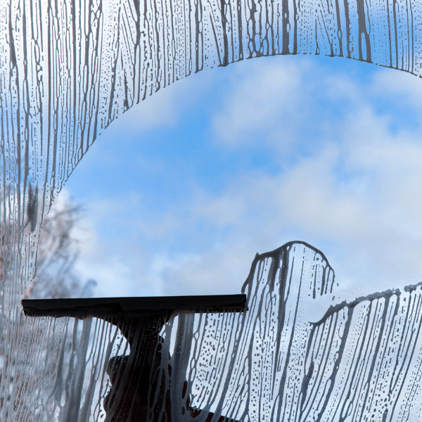 Service de nettoyage de vitres professionnel